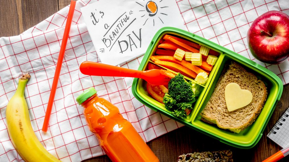 A green kids lunchbox with healthy diet for cancer prevention